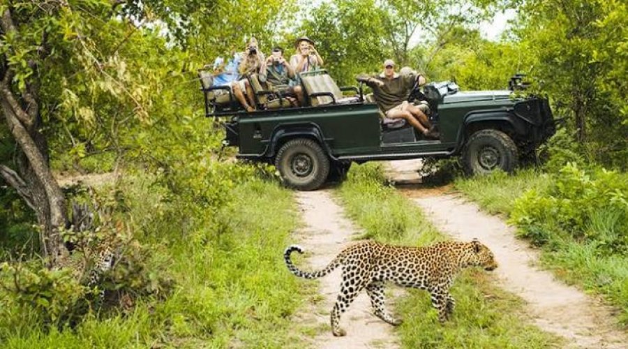 Sri Lanka Grand Escape Heritage Adventure Wildlife & Coastal Wonders