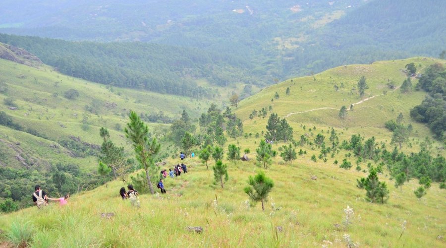 Belihuloya, Haputale & Lipton’s Seat – Misty Mountain Journey